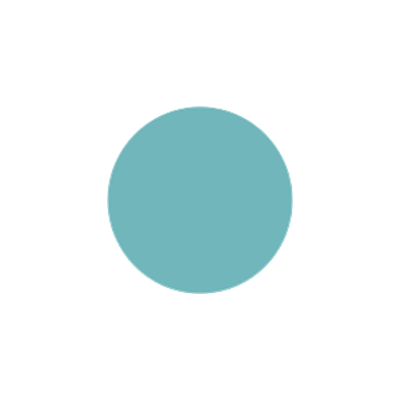 Mint Green Lens - Full Color