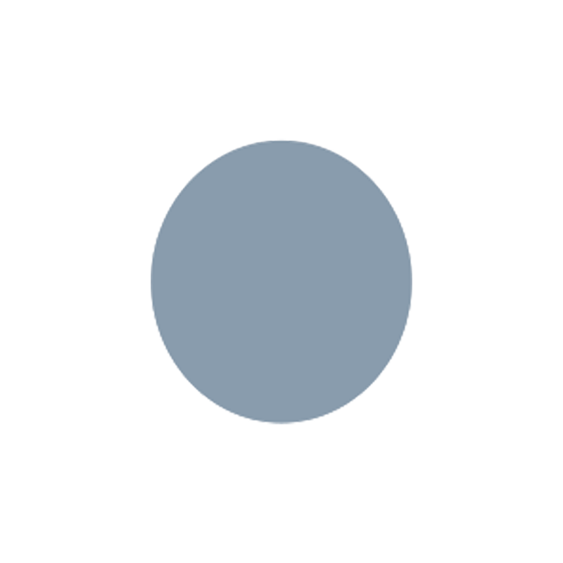 Cool Grey Lens - Full Color