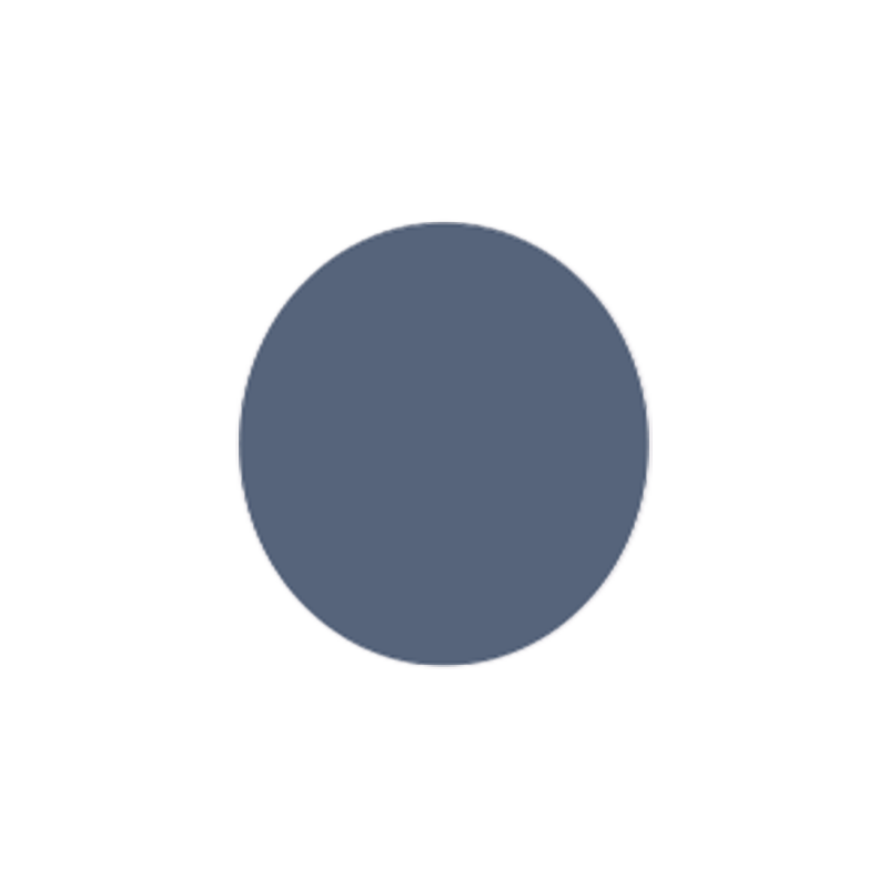 Cool Grey Lens - Full Color