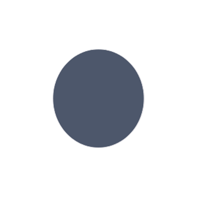 Cool Grey Lens - Full Color