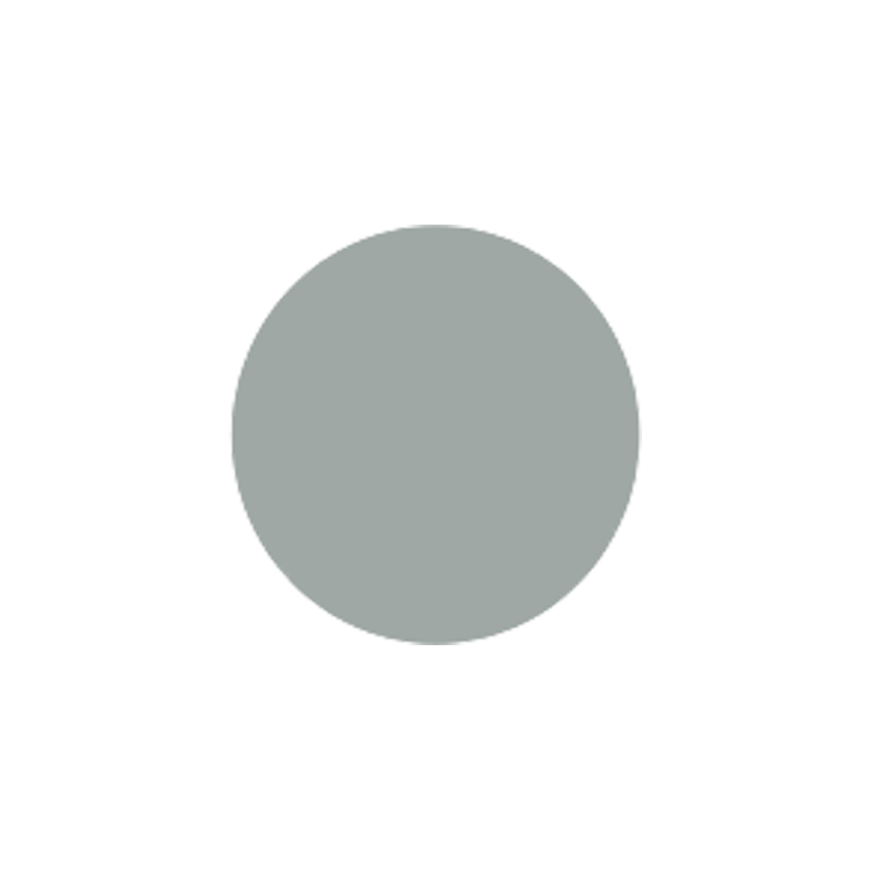 Mild Grey Lens - Full Color