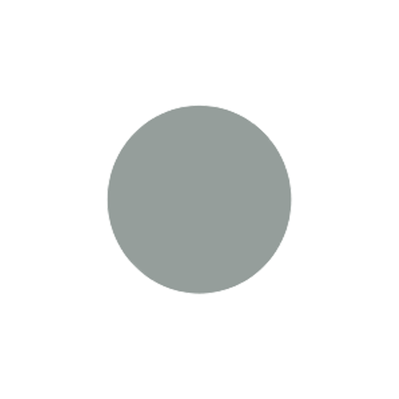 Mild Grey Lens - Full Color