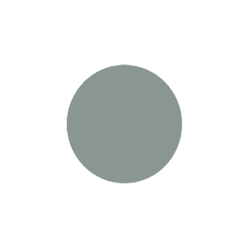 Mild Grey Lens - Full Color