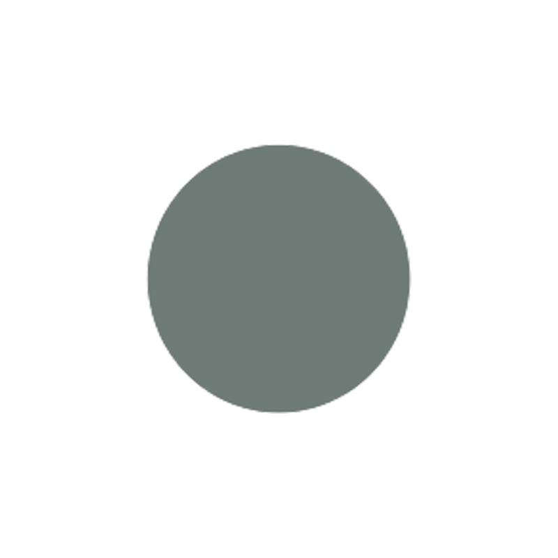 Mild Grey Lens - Full Color